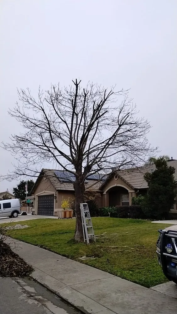 Trusted garden landscaping for homes across Modesto, CA - Pablo Mendoza Landscaping Handyman & plumbing