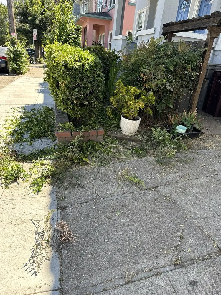 Local landscape installation in Modesto, CA by Pablo Mendoza Landscaping Handyman & plumbing