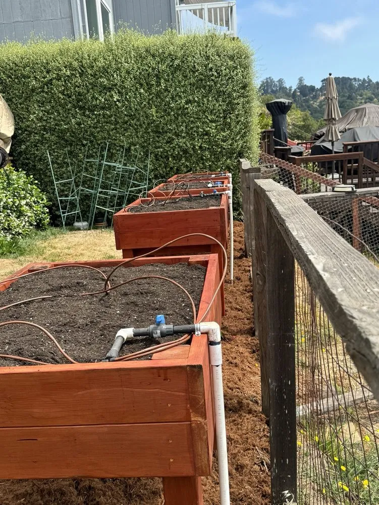 Expert garden landscaping in Modesto, CA by Pablo Mendoza Landscaping Handyman & plumbing