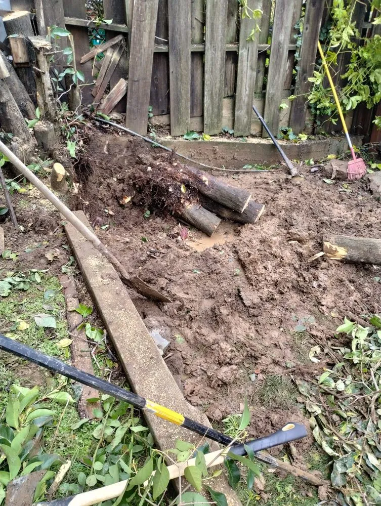 Trusted lawn care service experts serving Modesto, CA - Pablo Mendoza Landscaping Handyman & plumbing