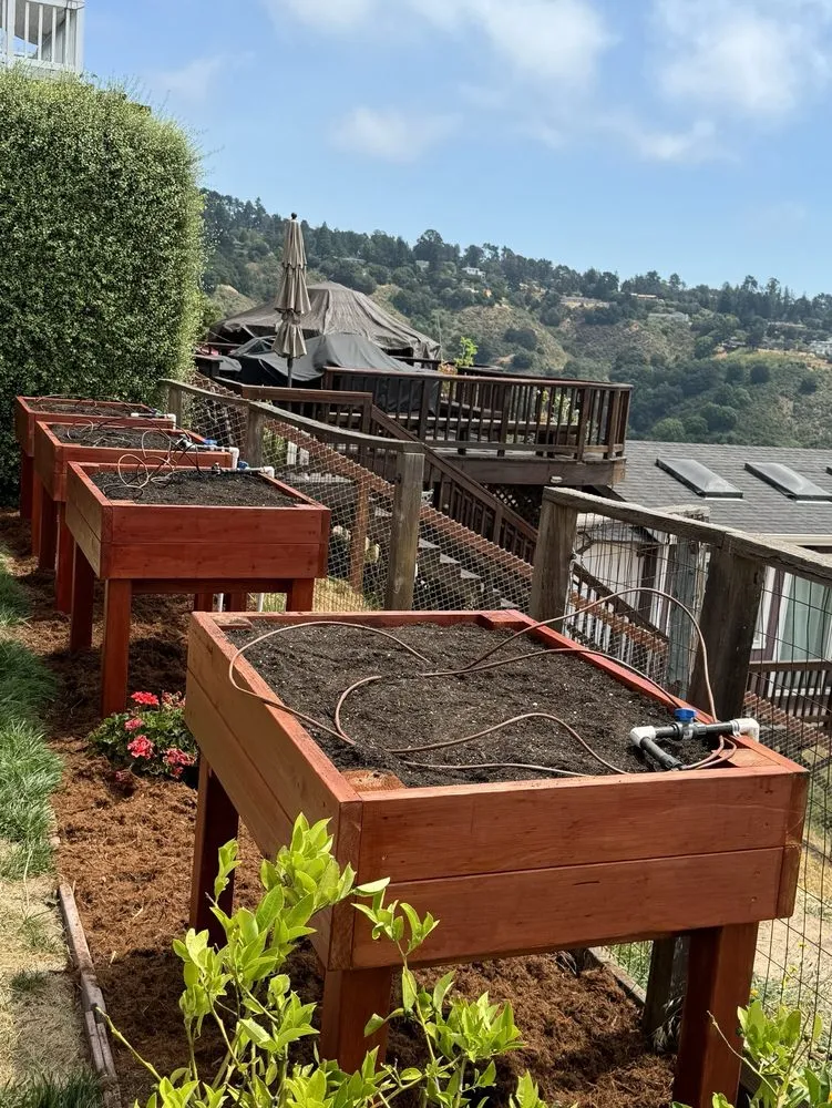 Reliable lawn mowing service for residential properties across Modesto, CA - Pablo Mendoza Landscaping Handyman & plumbing