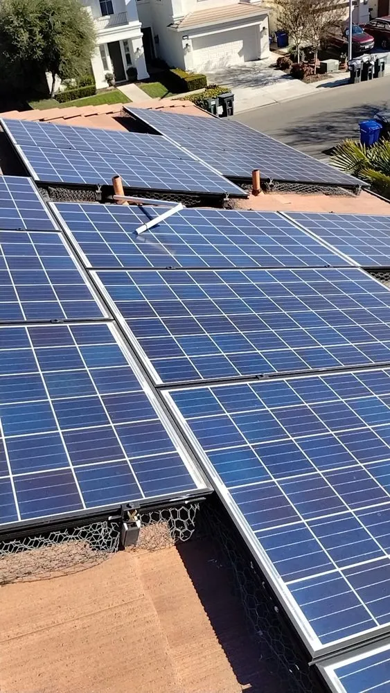 Expert yard cleanup service in Modesto, CA - Pablo Mendoza Landscaping Handyman & plumbing