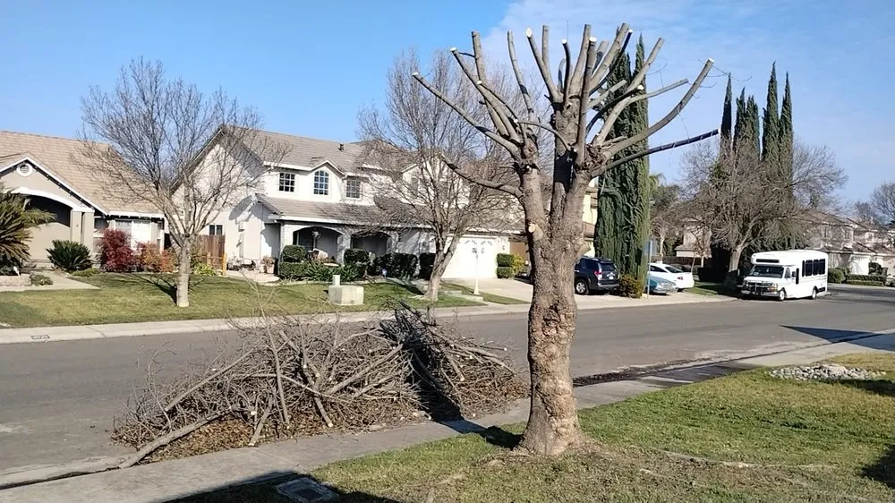 Local landscape installation in Modesto, CA - Pablo Mendoza Landscaping Handyman & plumbing