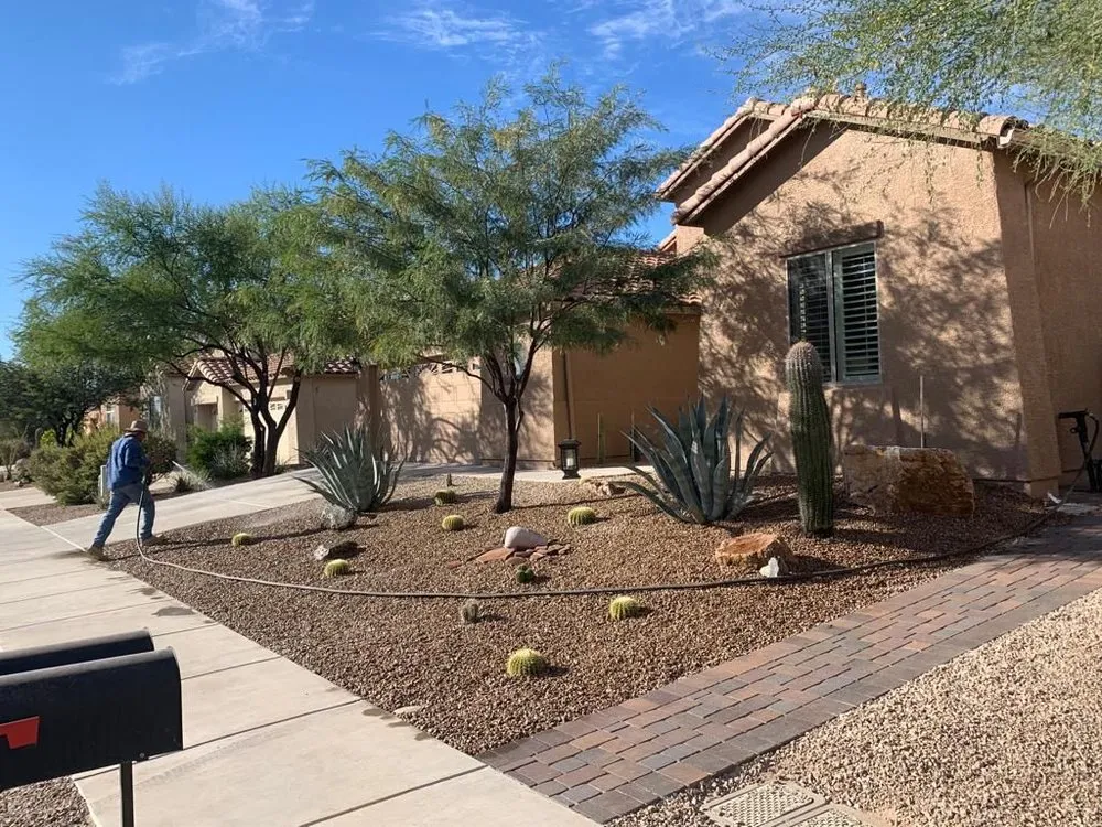 Professional yard cleanup service for year-round maintenance in Tucson, AZ by Pablo Ornelas Landscaping