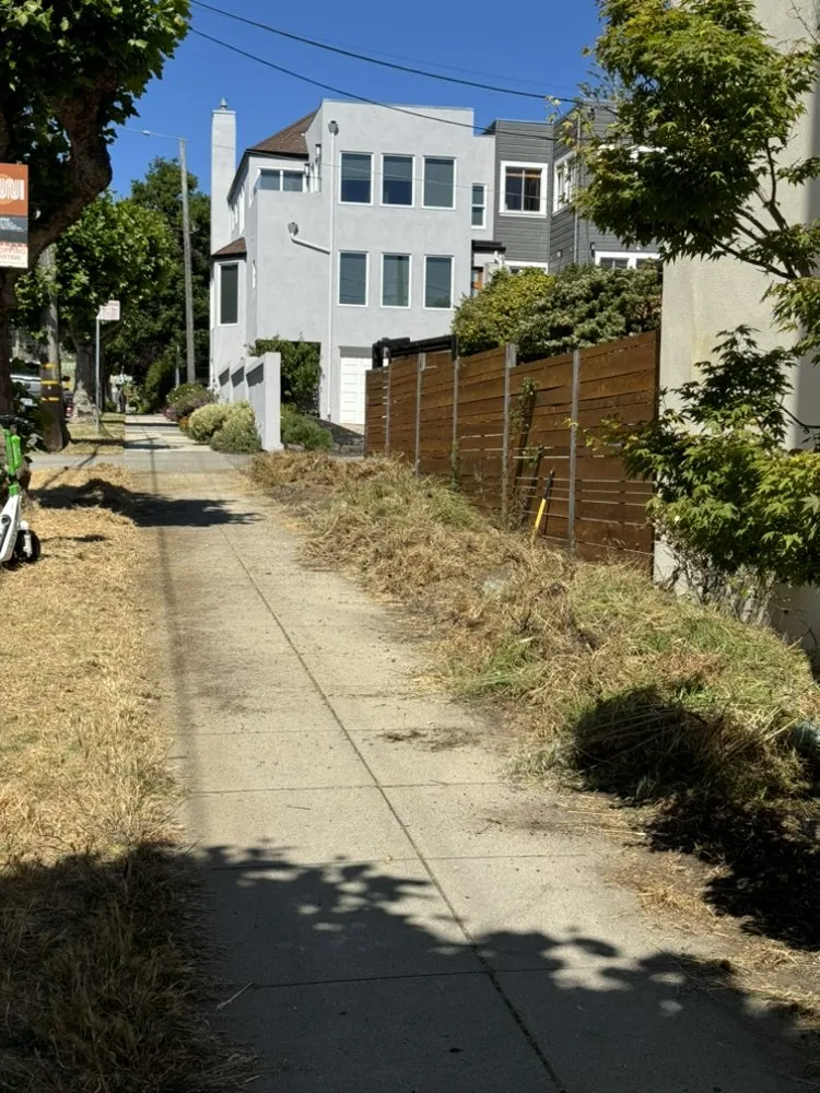 Trusted yard cleanup service with custom design in San Rafael, CA by Pablo's Gardener Services