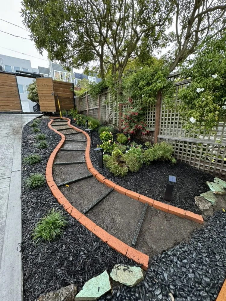 Professional yard maintenance experts serving San Rafael, CA - Pablo's Gardener Services