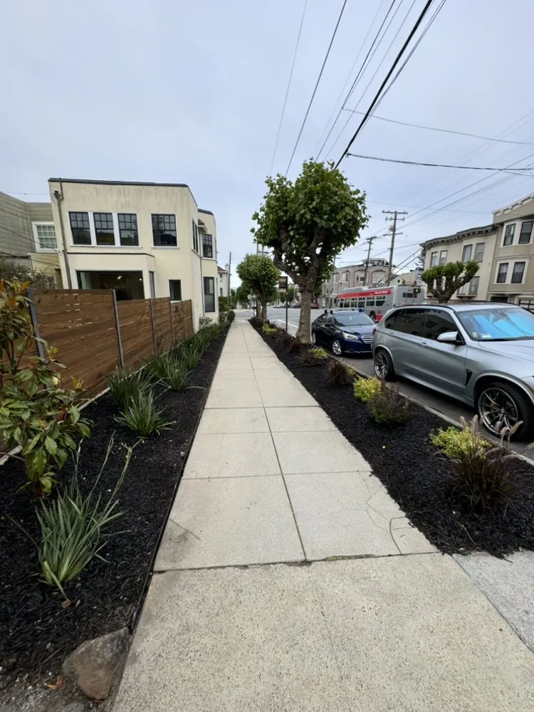 Custom landscaping services for residential properties across San Rafael, CA - Pablo's Gardener Services