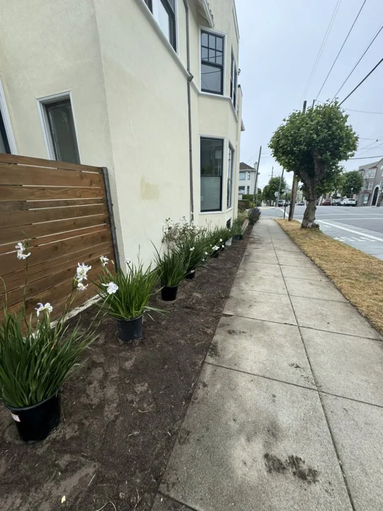Reliable outdoor landscaping experts serving San Rafael, CA - Pablo's Gardener Services