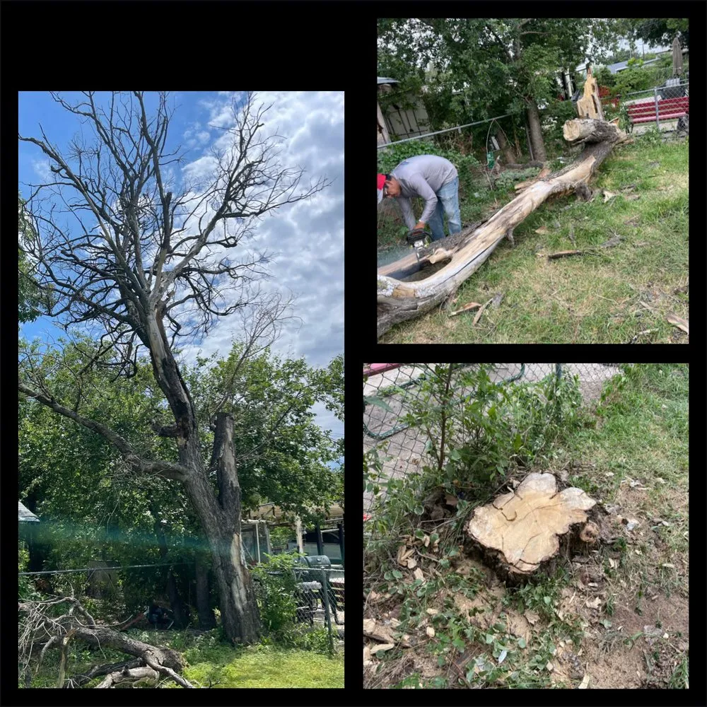 Trusted landscape design in Wichita Falls, TX - Pablo’s Gutierrez’s Lawn Service