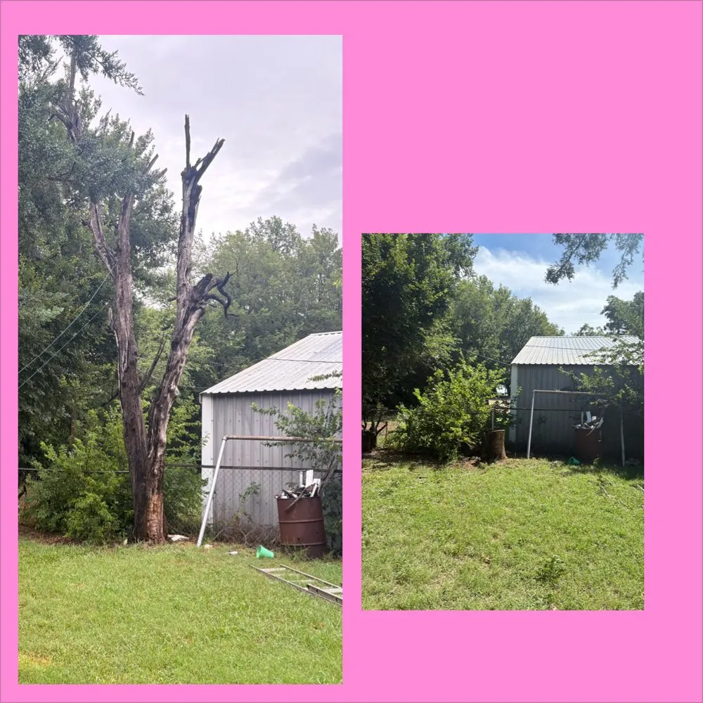 Local yard cleanup service experts serving Wichita Falls, TX - Pablo’s Gutierrez’s Lawn Service