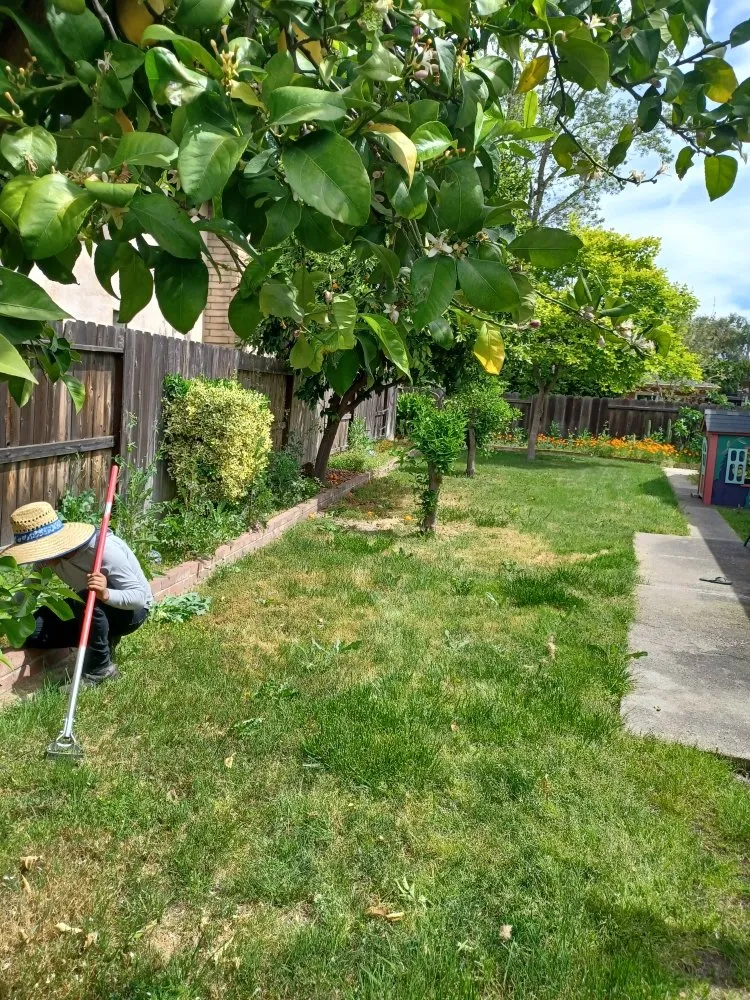Top-rated lawn care service in Stockton, CA - Pablo's J Landscaping
