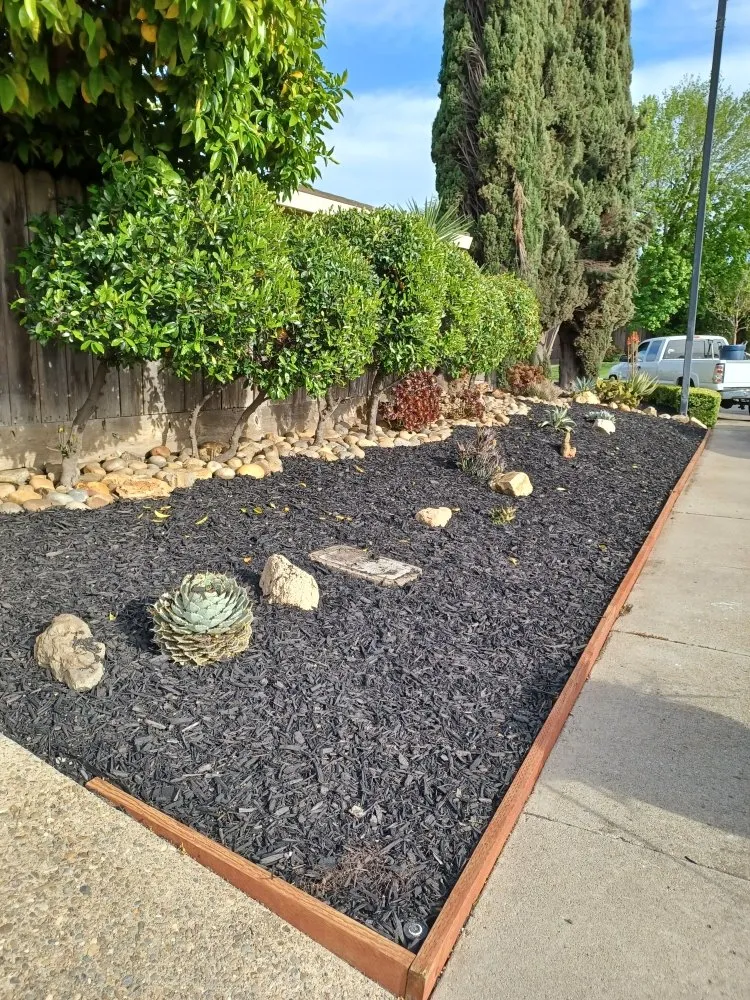 Trusted landscape installation in Stockton, CA - Pablo's J Landscaping