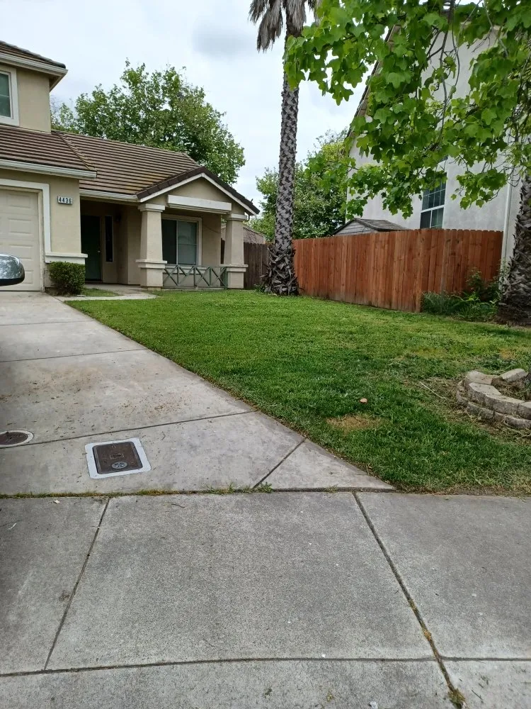 Top-rated yard maintenance in Stockton, CA by Pablo's J Landscaping