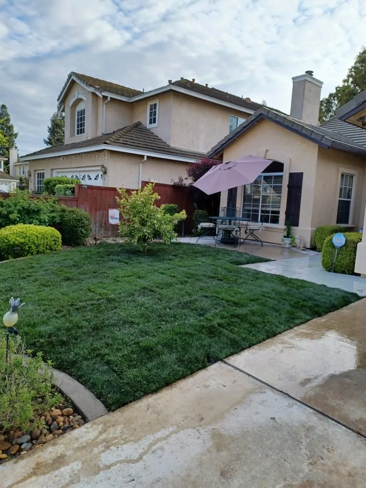 Local yard cleanup service for outdoor upgrades across Stockton, CA - Pablo's J Landscaping