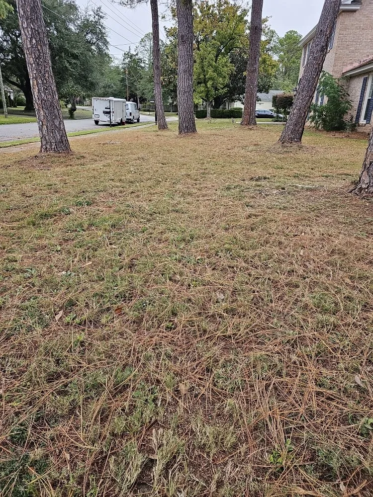 Professional lawn mowing service near you across Montgomery, AL - Pablo's Landcaping