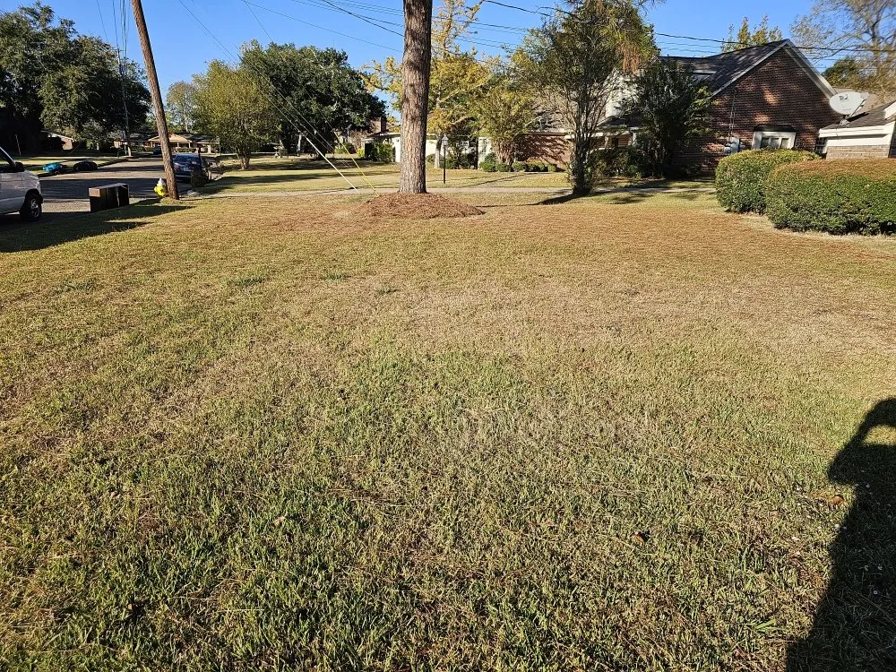 Custom garden landscaping with custom design across Montgomery, AL - Pablo's Landcaping