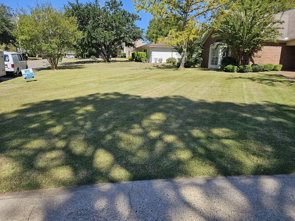 Professional lawn care service in Montgomery, AL - Pablo's Landcaping