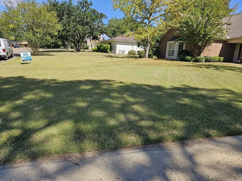 Expert yard cleanup service in Montgomery, AL by Pablo's Landcaping