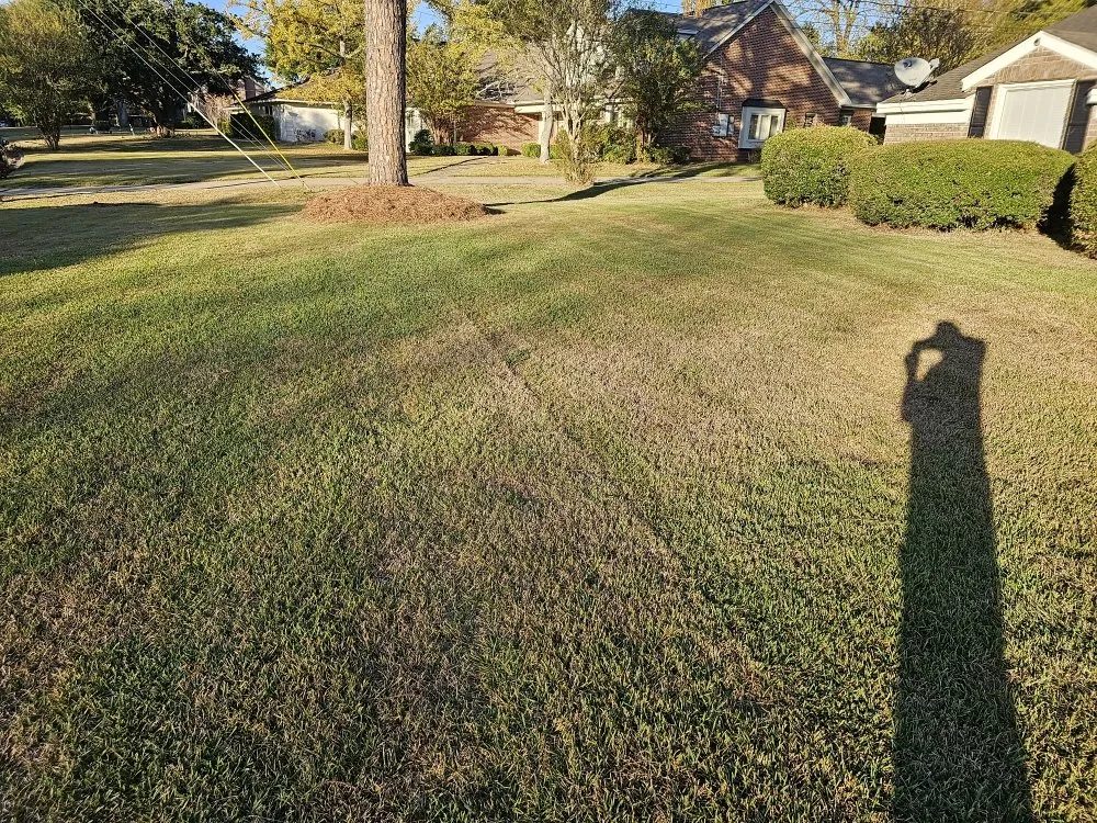 Reliable lawn mowing service for homes across Montgomery, AL - Pablo's Landcaping