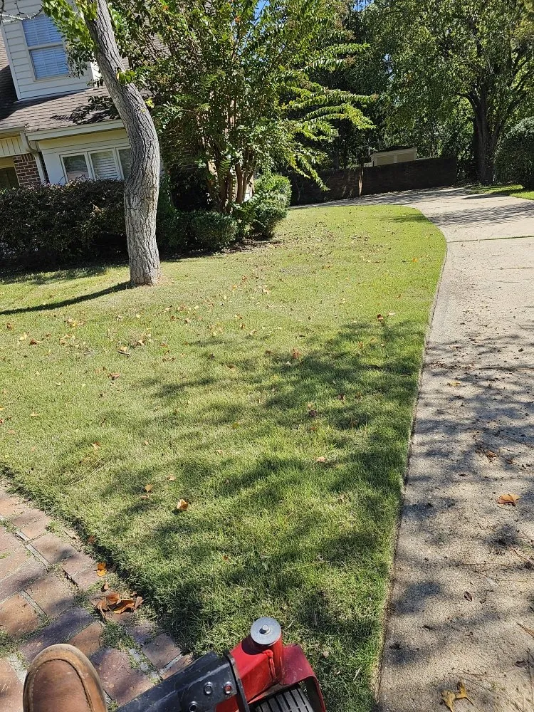 Trusted yard maintenance experts serving Montgomery, AL - Pablo's Landcaping