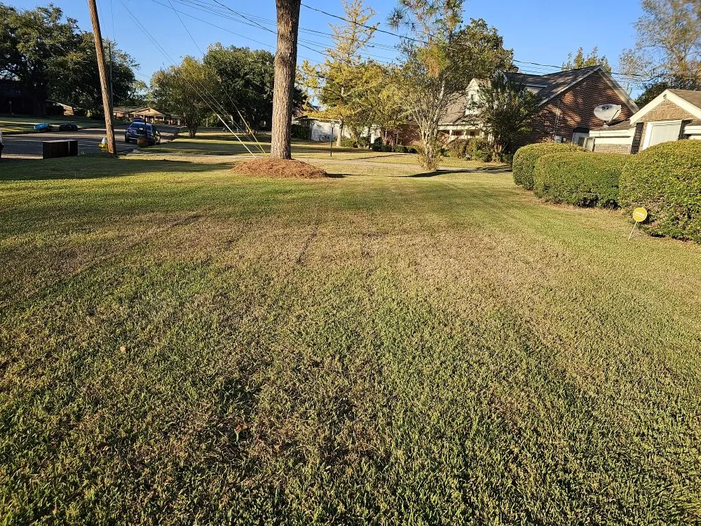 Custom yard cleanup service in Montgomery, AL by Pablo's Landcaping