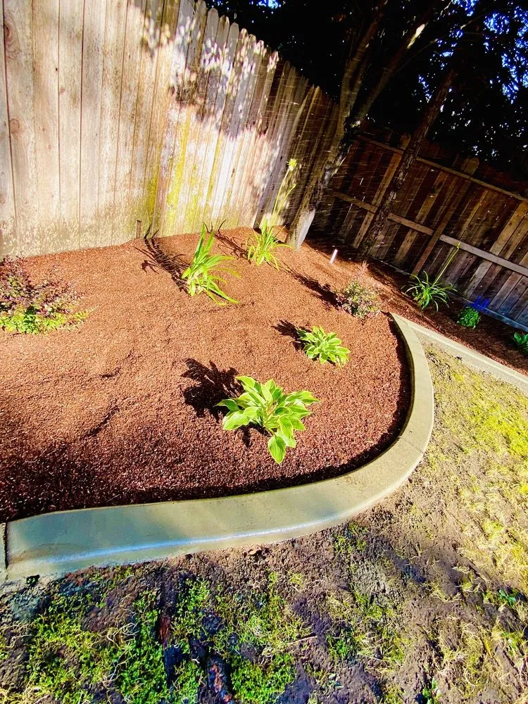 Professional yard maintenance experts serving Fresno, CA - Pablo’s Landscape & Maintenance
