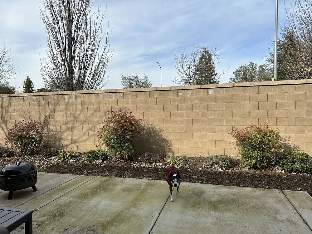 Trusted lawn mowing service experts serving Fresno, CA - Pablo’s Landscape & Maintenance