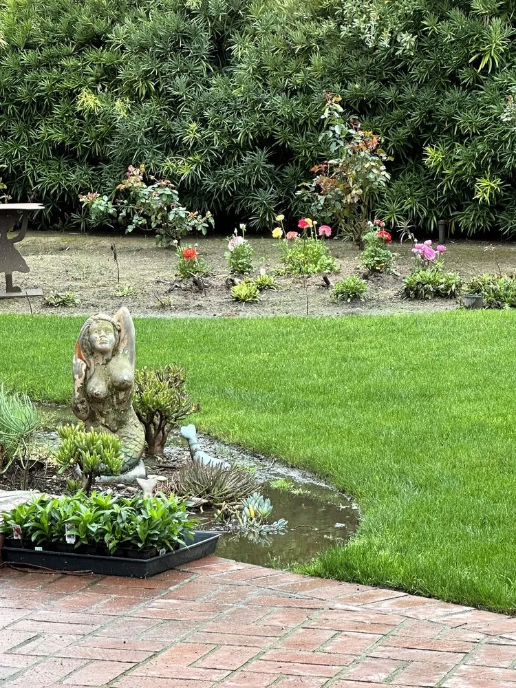 Professional yard cleanup service in Fresno, CA by Pablo’s Landscape & Maintenance