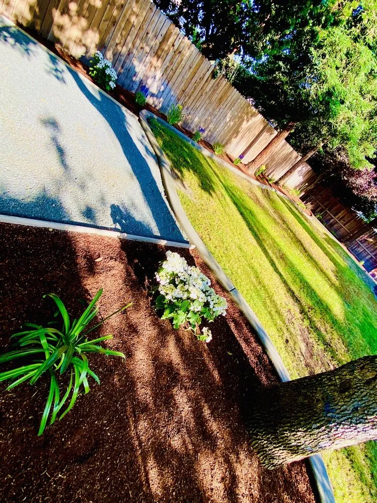 Top-rated lawn care service experts serving Fresno, CA - Pablo’s Landscape & Maintenance