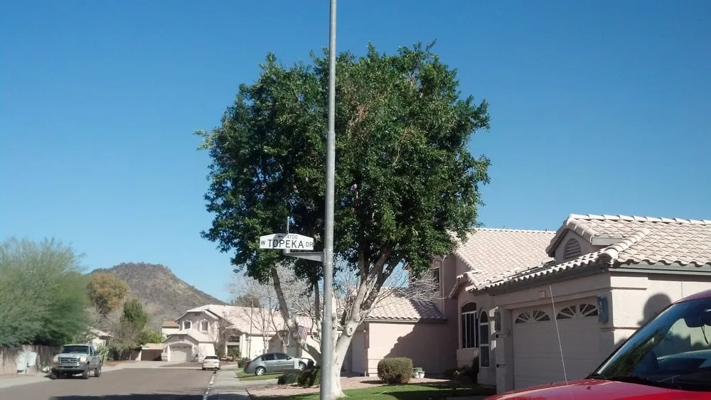 Expert outdoor landscaping near you in Phoenix, AZ by Pablo's Landscape & Tree Service, LLC