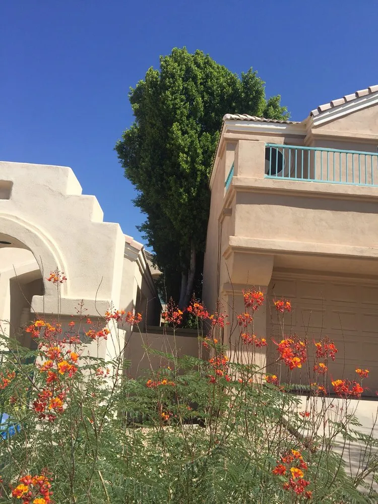 Expert outdoor landscaping in Phoenix, AZ by Pablo's Landscape & Tree Service, LLC