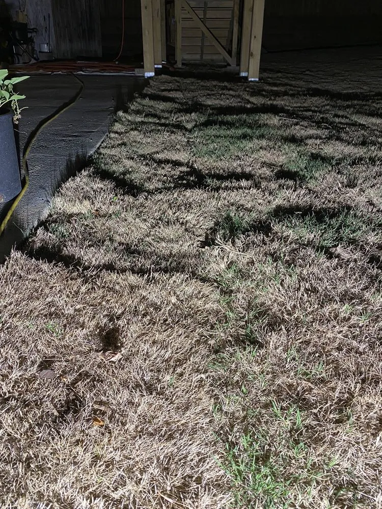 Professional lawn care service for homes across Dacula, GA - Pablo's Landscape