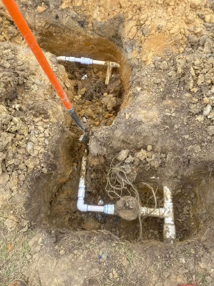 Local yard cleanup service in Dothan, AL - Pablo’s Landscape