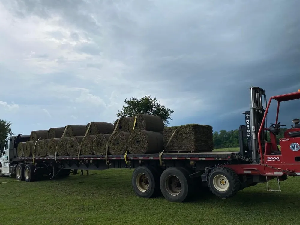 Professional lawn care service for outdoor upgrades in Dothan, AL by Pablo’s Landscape