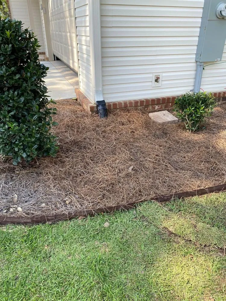 Trusted landscaping services experts serving Dothan, AL - Pablo’s Landscape