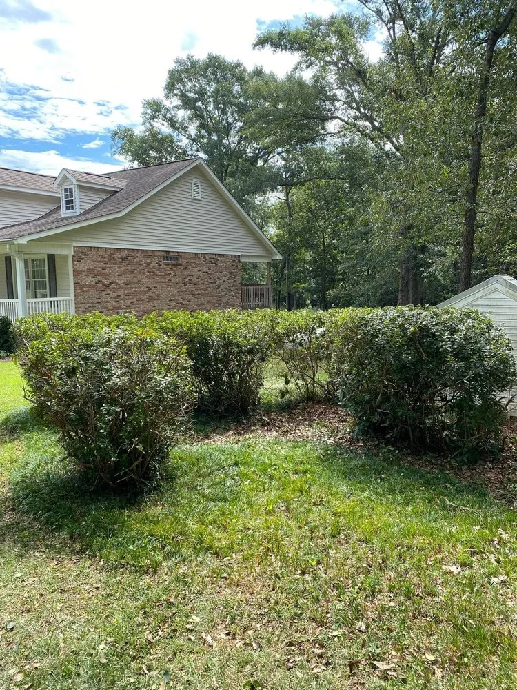 Affordable yard cleanup service in Dothan, AL - Pablo’s Landscape