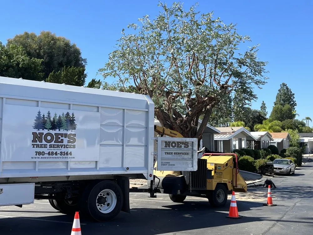 Reliable yard maintenance in San Marcos, CA - Pablo's Landscape Services