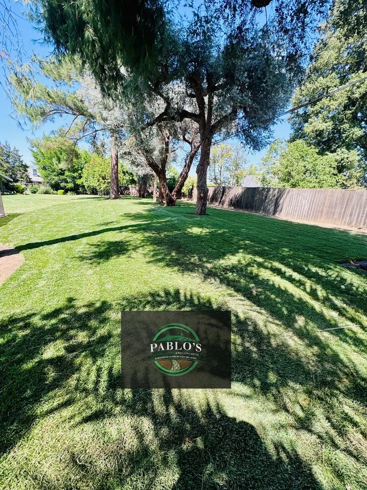 Trusted yard maintenance experts serving Clovis, CA - Pablo’s Landscaping & Concrete