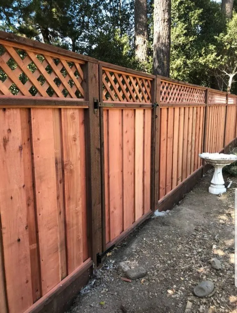 Local yard maintenance experts serving Oakland, CA - Pablo's Landscaping & Home Service