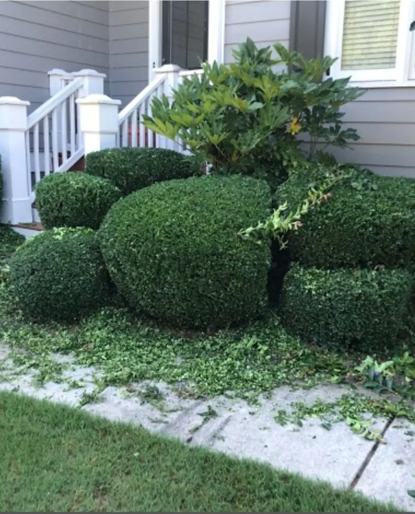 Local landscape installation near you across Oakland, CA - Pablo's Landscaping & Home Service