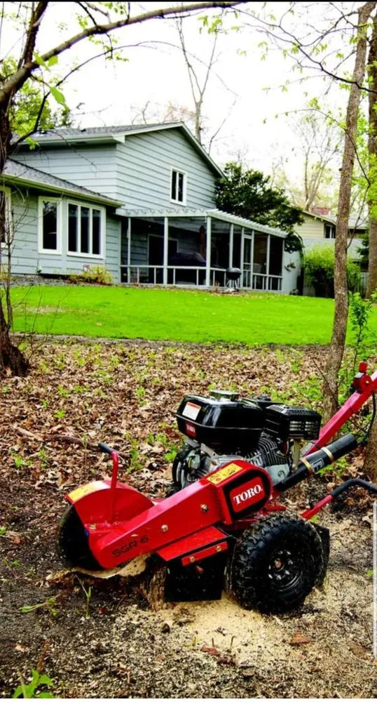 Trusted outdoor landscaping experts serving Oakland, CA - Pablo's Landscaping & Home Service