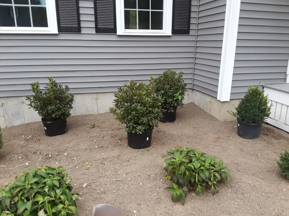 Affordable lawn care service for residential properties in Lynn, MA by Pablo's Landscaping