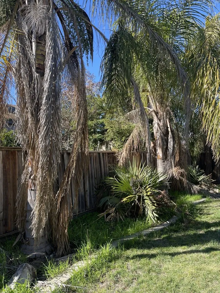 Reliable outdoor landscaping in Patterson, CA - Pablo’s Landscaping Services