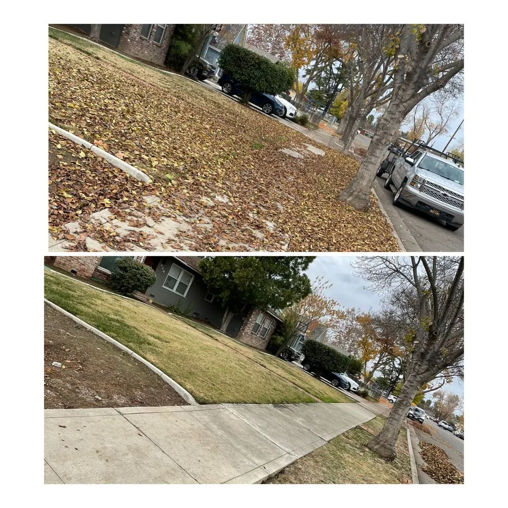 Expert lawn mowing service in Patterson, CA by Pablo’s Landscaping Services