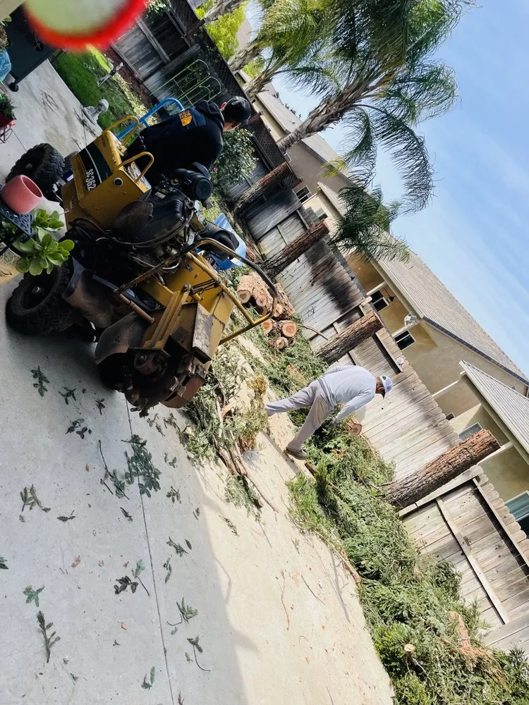 Expert landscape design near you in Patterson, CA by Pablo’s Landscaping Services