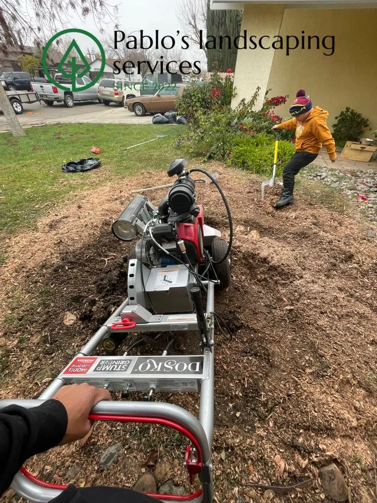 Custom lawn care service for outdoor upgrades across Patterson, CA - Pablo’s Landscaping Services