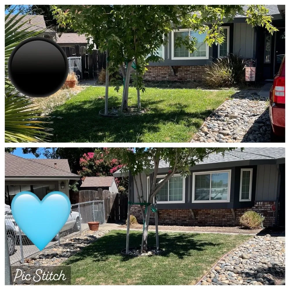 Expert yard maintenance experts serving Patterson, CA - Pablo’s Landscaping Services