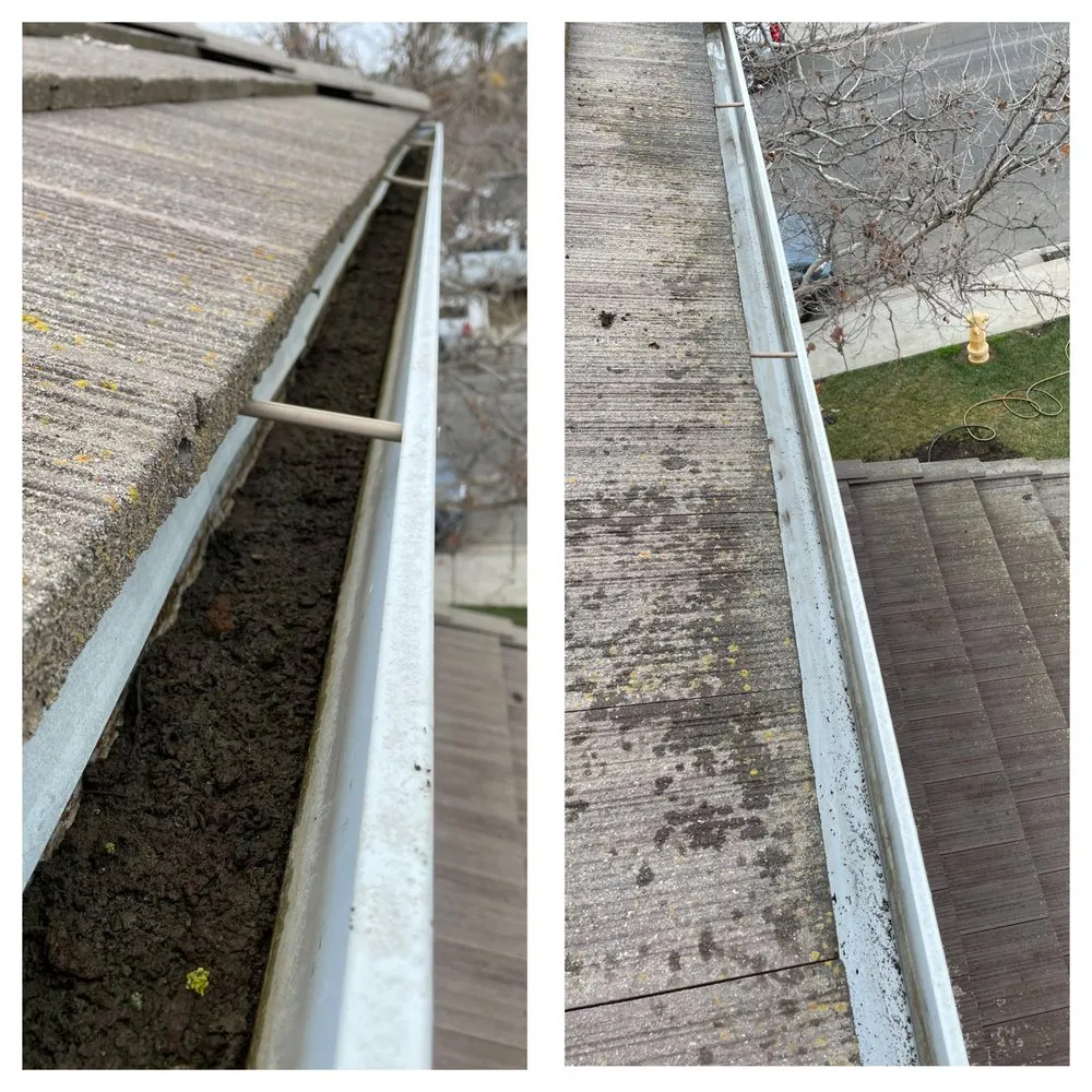 Reliable residential landscaping in Patterson, CA by Pablo’s Landscaping Services