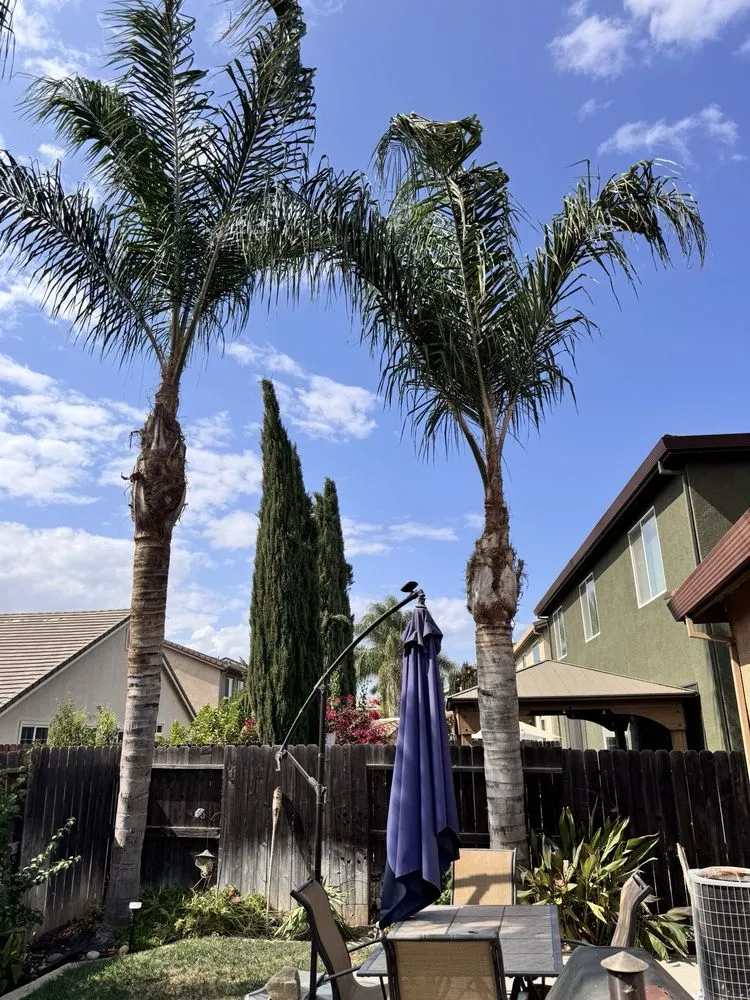 Local garden landscaping in Patterson, CA by Pablo’s Landscaping Services