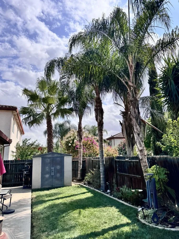 Custom yard maintenance in Patterson, CA - Pablo’s Landscaping Services